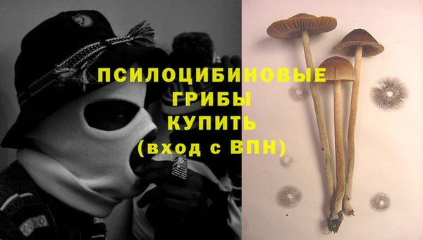 марки lsd Богданович