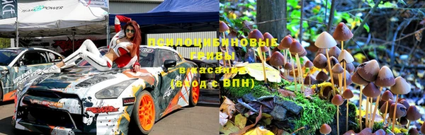 трава Богородицк