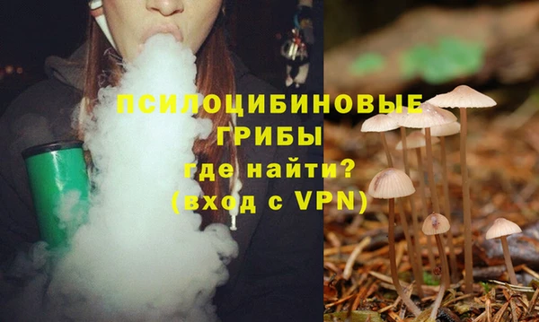 хмурый Балахна