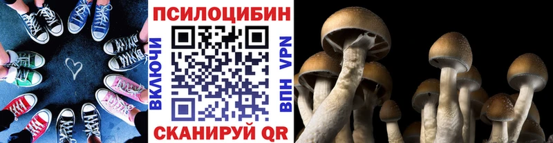 Псилоцибиновые грибы MAGIC MUSHROOMS Невель