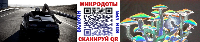 где можно купить наркотик  Невель  Галлюциногенные грибы Cubensis 